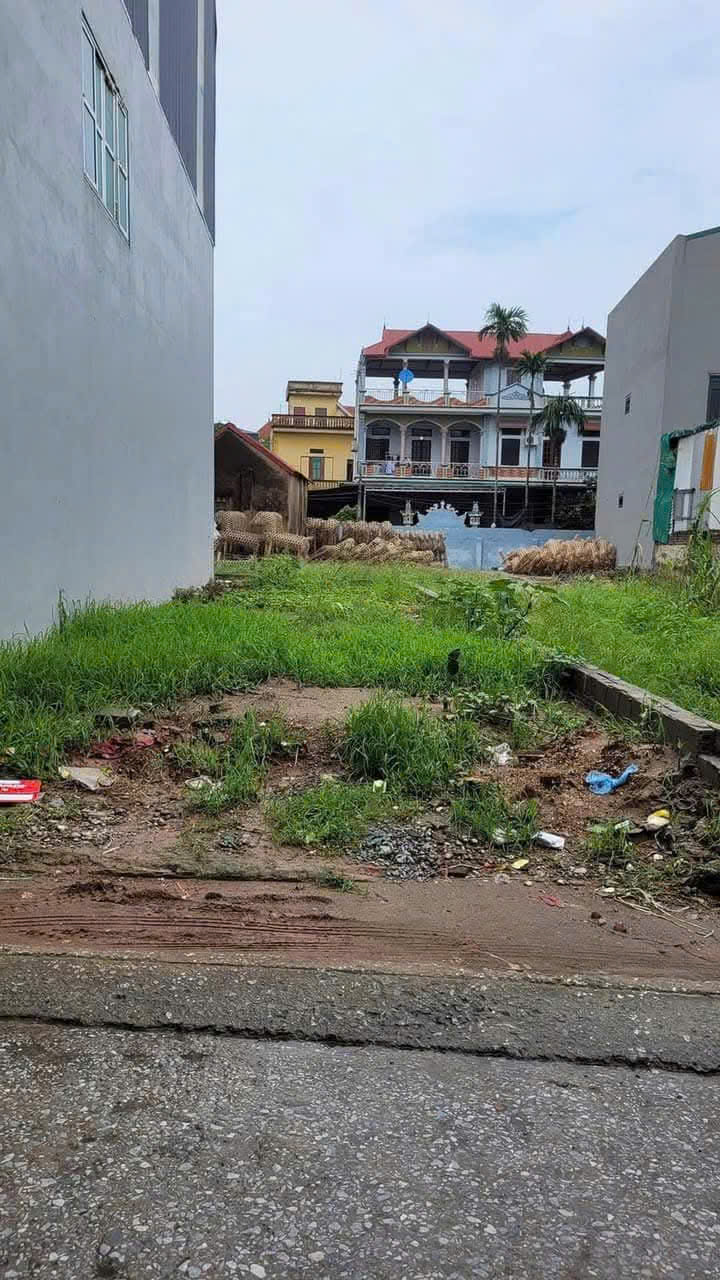 Đất phân lô ô tô tránh 80 6 17.6 tỷ Phố Bùi Huy Bích, Hoàng Mai - Ảnh chính