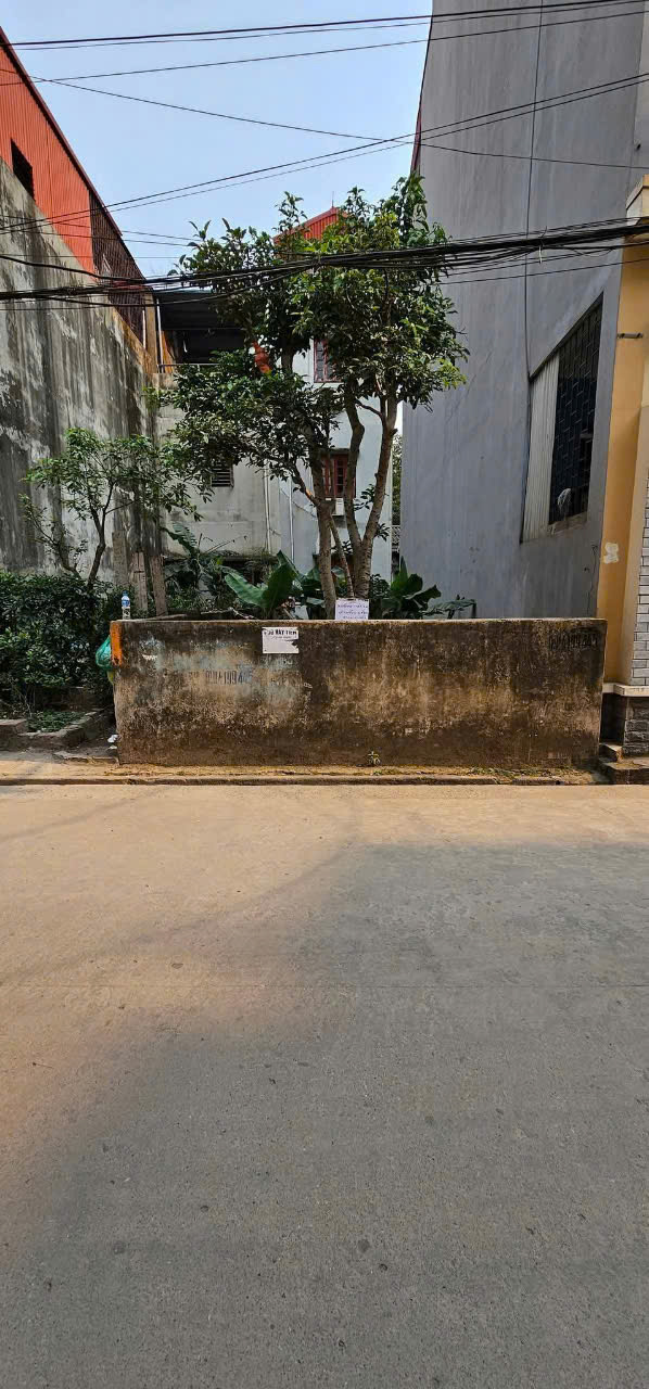 Bán 50m2 đất phân lô ô tô tránh, Ba La, Phú La, Hà Đông. Giá hơn 9 tỷ - Ảnh 1