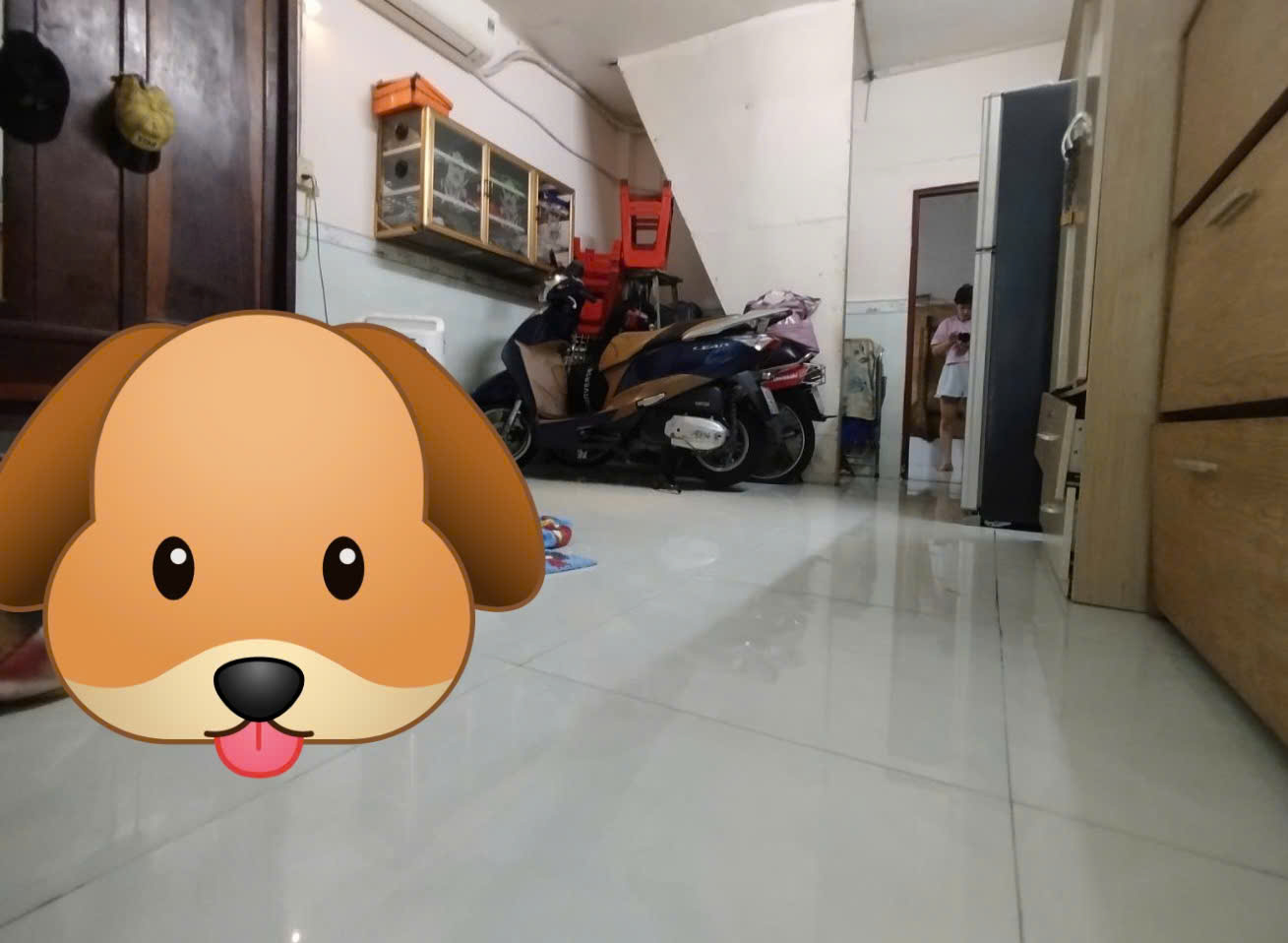 GẤP BÁN CHIA TÀI SẢN - CHÍNH CHỦ 1 ĐỜI CHƯA QUA ĐẤT TƯ CHỈ 6 TỶ CÁCH MẶT TIỀN TẠ QUANG BỬU 15M HẺM - Ảnh chính