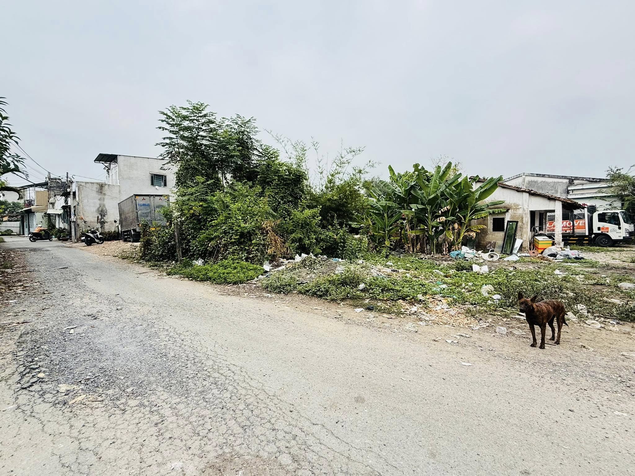 📣🏘CẦN BÁN GẤP LÔ ĐẤT ĐẸP MẶT TIỀN TRUNG ĐÔNG 10 – CHỈ 2,65 TỶ – DIỆN TÍCH 104M² – GIÁP QUẬN 12 - Ảnh chính