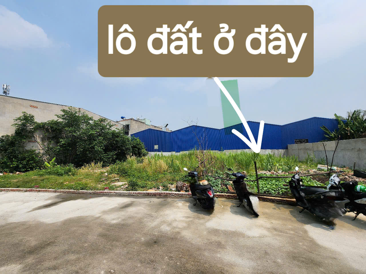 Lô Đất Thạnh Xuân 47-Sổ hồng riêng-100m2 - Ảnh 3