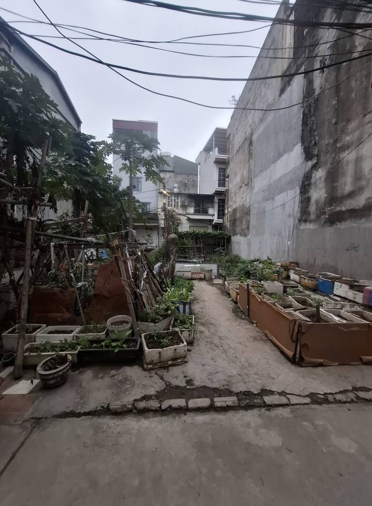 Bán đất lý sơn, Thượng Thanh 36M X 4,5 Vuông vắn, ngõ thông oto chỉ 5 tỷ có tl - Ảnh 1
