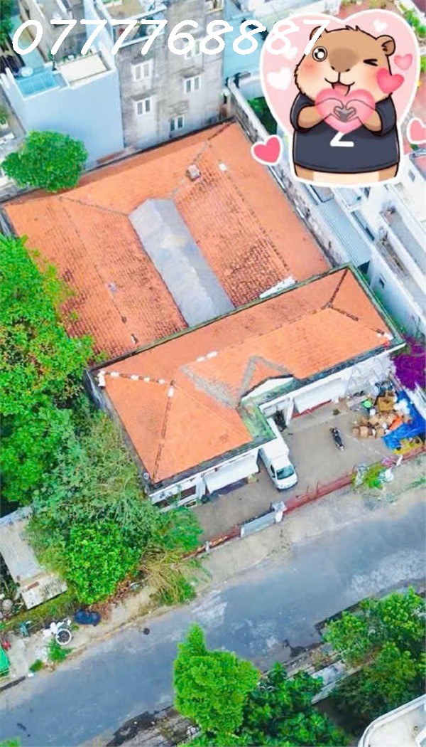 Giá đầu tư Bán Biệt Thự cũ tiện xây mới, MT nội bộ Trần Não, Q2 - Ảnh 3