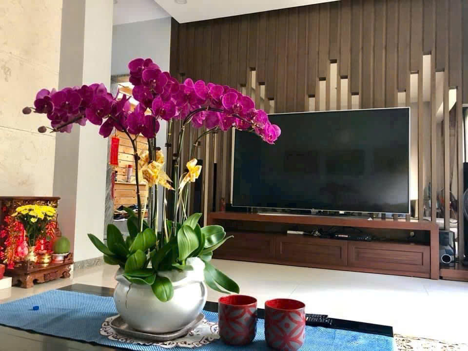 Bán Biệt thự 200m2 siêu đẹp ngay trung tâm TP.Biên Hoà khu vip D2D chỉ 19 tỷ - Ảnh 2