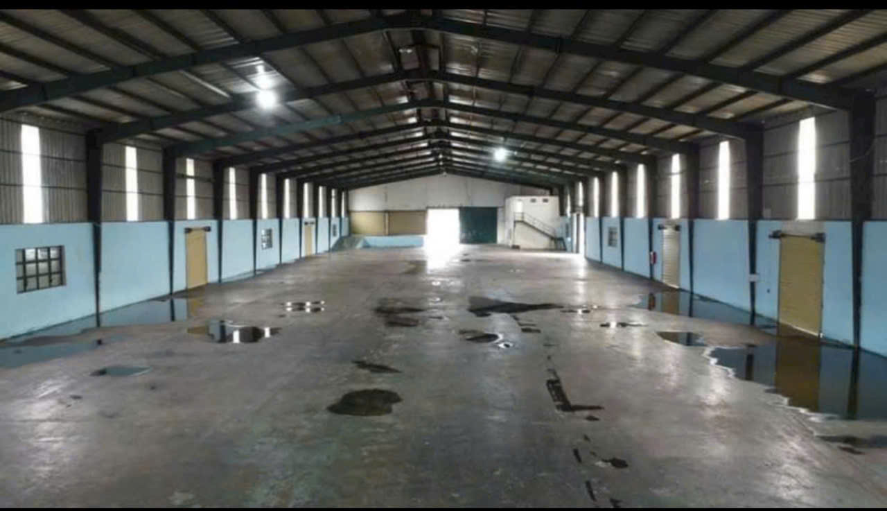 Cho thuê kho xưởng 5000m2 tại An Phú, Thuận An, Bình Dương - Ảnh 3