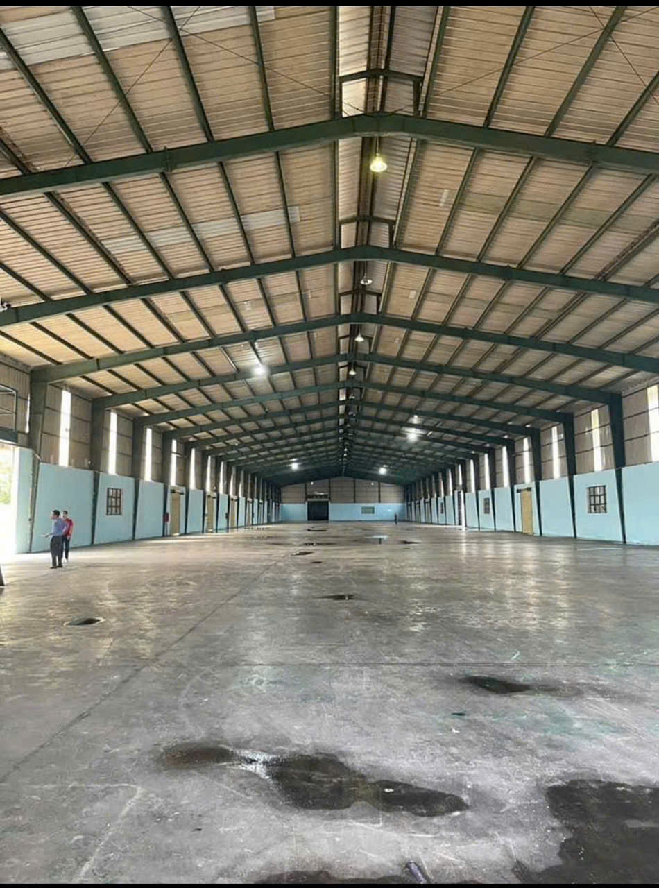 Cho thuê kho xưởng 5000m2 tại An Phú, Thuận An, Bình Dương - Ảnh 2