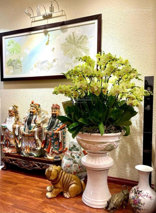 Siêu hời, nhà đẹp Ngô Thì Nhậm, kinh doanh, ô tô, 40m2, 4 tầng dân xây, ở ngay chỉ 11 tỷ - Ảnh 3