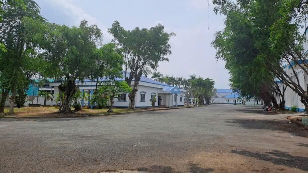 Cho thuê kho KCN Hòa Phú – Vĩnh Long, diện tích 2000–5000m², giá chỉ 55k/m² - Ảnh 3
