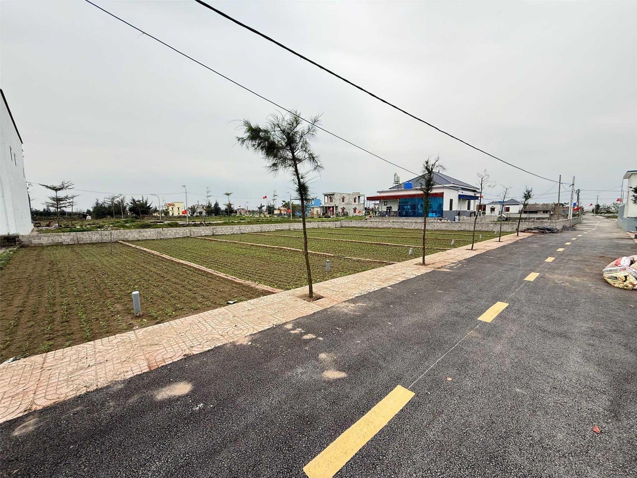 Cần bán nhanh lô đất 112m2 gần khu công nghiệp Vsip Hải Long. - Ảnh chính