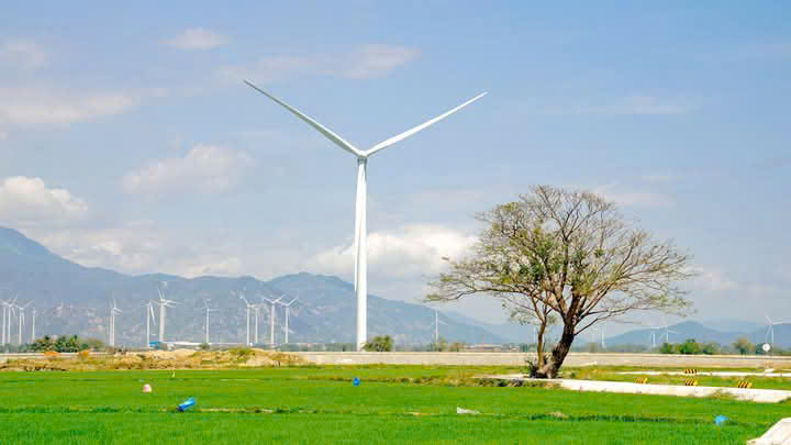 BÁN GẤP LÔ ĐẤT BIỂN LIÊN HƯƠNG, BÌNH THUẬN FULL THỔ CƯ - CÁCH BIỂN 700M, GIÁ CỰC TỐT - Ảnh 4