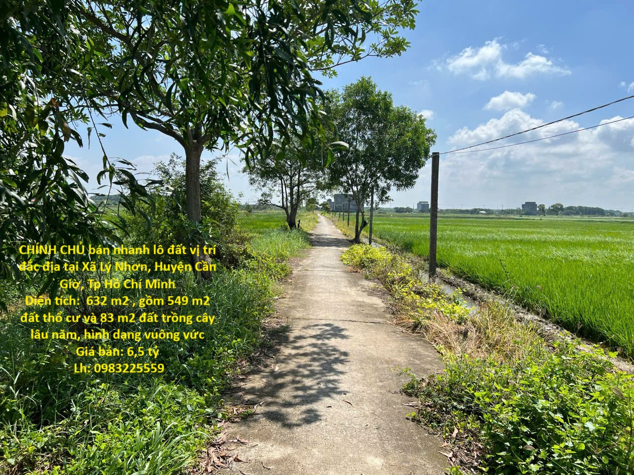 CHÍNH CHỦ bán nhanh lô đất vị trí đắc địa tại Xã Lý Nhơn, Huyện Cần Giờ, Tp Hồ Chí Minh - Ảnh chính