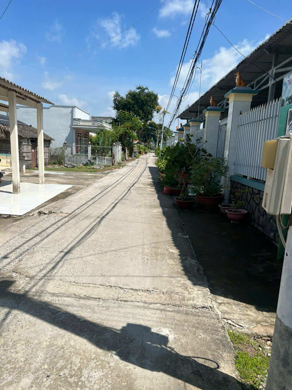 CHÍNH CHỦ bán nhanh lô đất vị trí đắc địa tại Xã Lý Nhơn, Huyện Cần Giờ, Tp Hồ Chí Minh - Ảnh 4