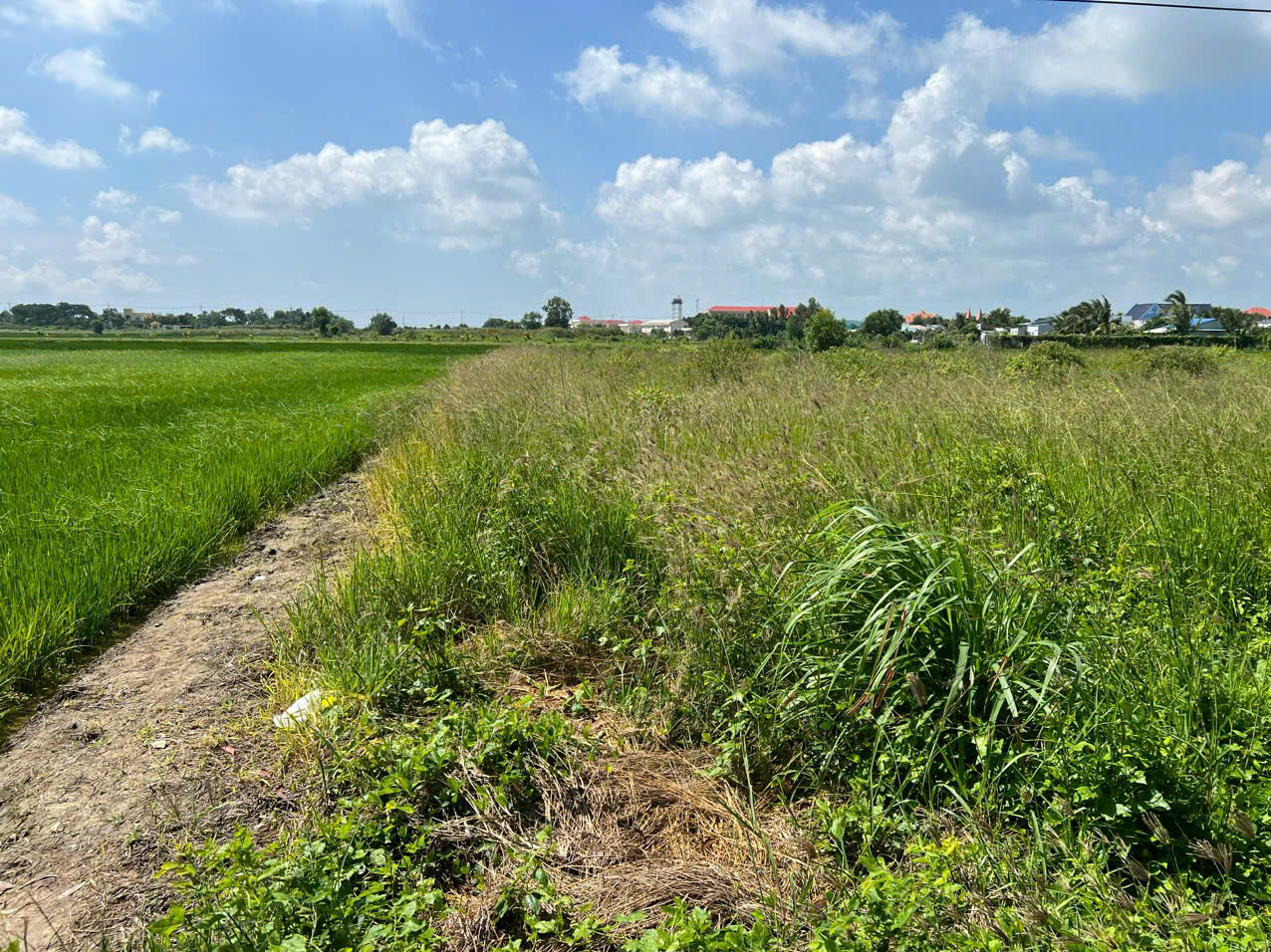 CHÍNH CHỦ bán nhanh lô đất vị trí đắc địa tại Xã Lý Nhơn, Huyện Cần Giờ, Tp Hồ Chí Minh - Ảnh 3