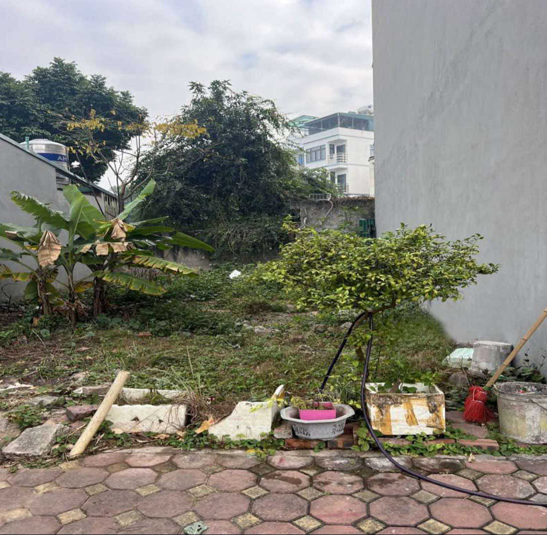 Bán đất phân lô phố Thạch Bàn Long Biên vỉa hè ô tô tránh nhau 56m, mặt tiền: 4.2m 11 tỷ - Ảnh 4