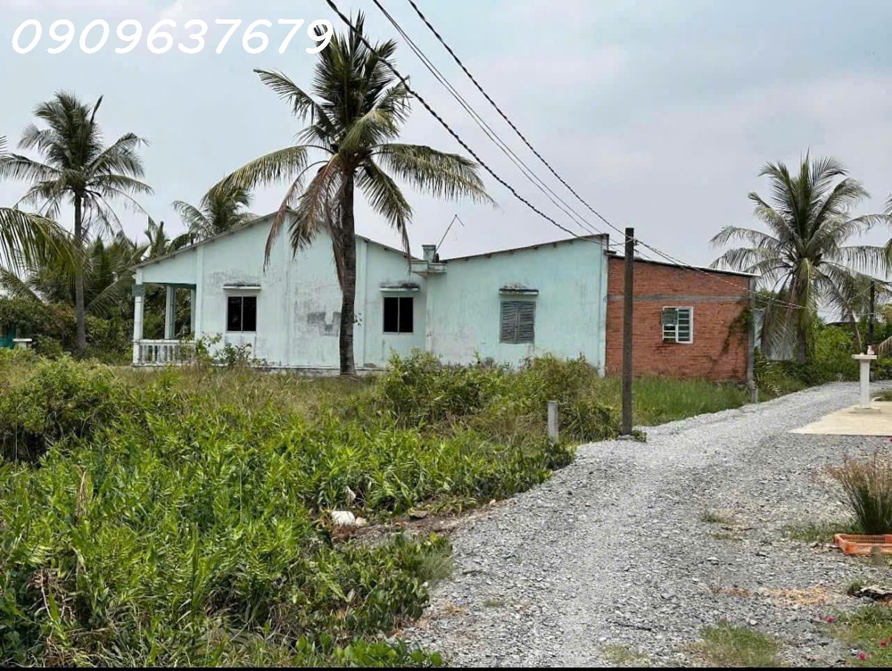Gấp gấp Bán Nhà vườn có diện tích vuông vức (300m2 Thổ + 1004m2 vườn) Xã Tân Chánh H cần Đước Long - Ảnh chính