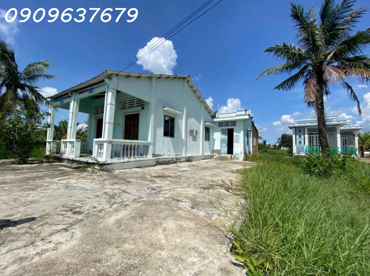 Gấp gấp Bán Nhà vườn có diện tích vuông vức (300m2 Thổ + 1004m2 vườn) Xã Tân Chánh H cần Đước Long - Ảnh 2