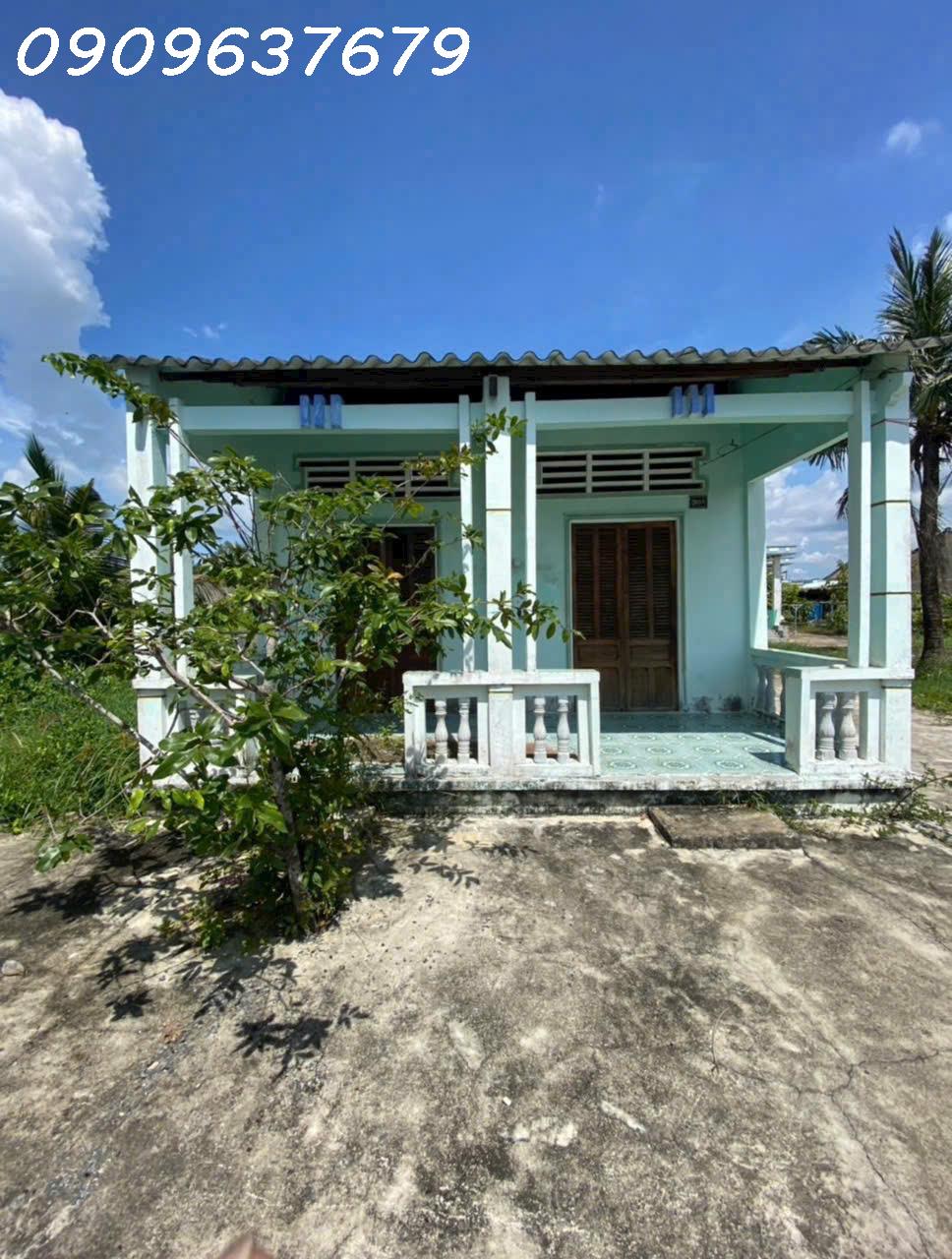 Gấp gấp Bán Nhà vườn có diện tích vuông vức (300m2 Thổ + 1004m2 vườn) Xã Tân Chánh H cần Đước Long - Ảnh 3