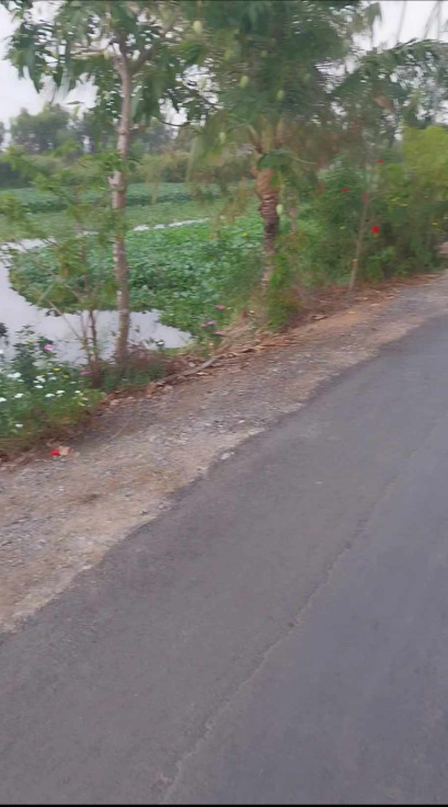 Bán Đất Tỉnh Long An – Mặt Tiền nhựa, View sông 63m - Liên hệ: 0984.401.989 - Ảnh 2