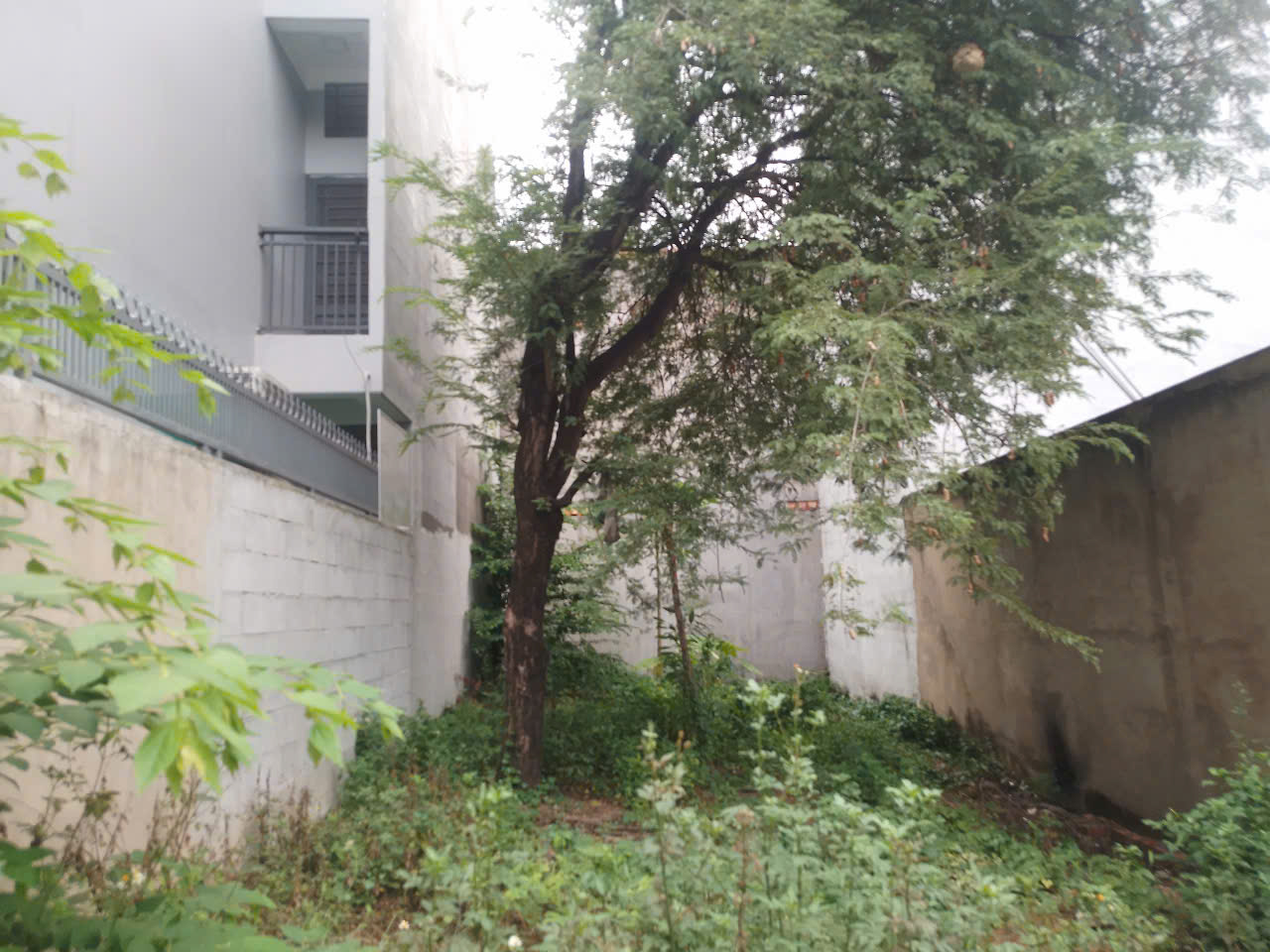 6m x 22,2m = 5 tỷ x Bùi Văn Ngữ Hiệp Thành Quận 12 TP. Hồ Chí Minh. - Ảnh 3