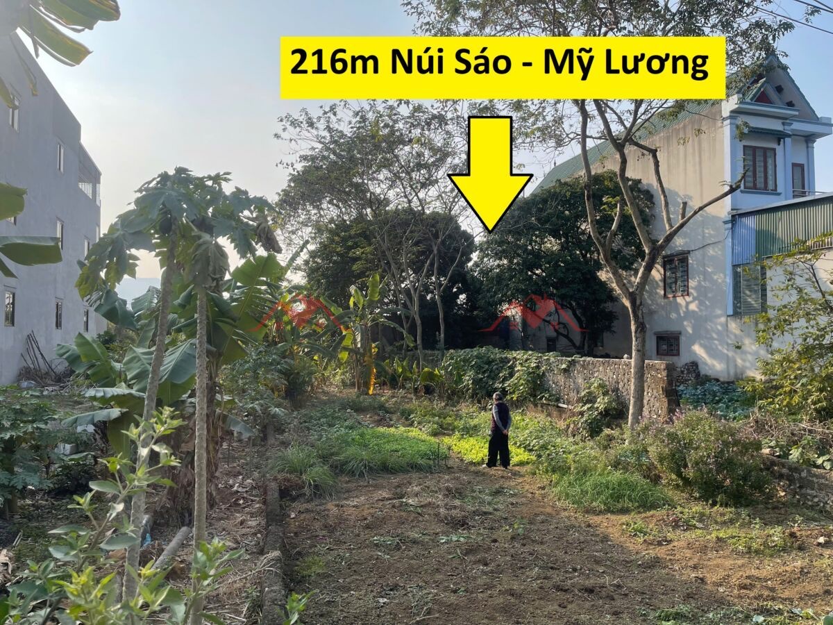 CHÍNH CHỦ BÁN LÔ ĐẤT 216M TẠI MỸ LƯƠNG-CHƯƠNG MỸ-HÀ NỘI - Ảnh chính