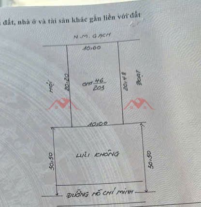 CHÍNH CHỦ BÁN LÔ ĐẤT 203M TẠI HOÀNG VĂN THỤ-CHƯƠNG MỸ-HÀ NỘI - Ảnh 3