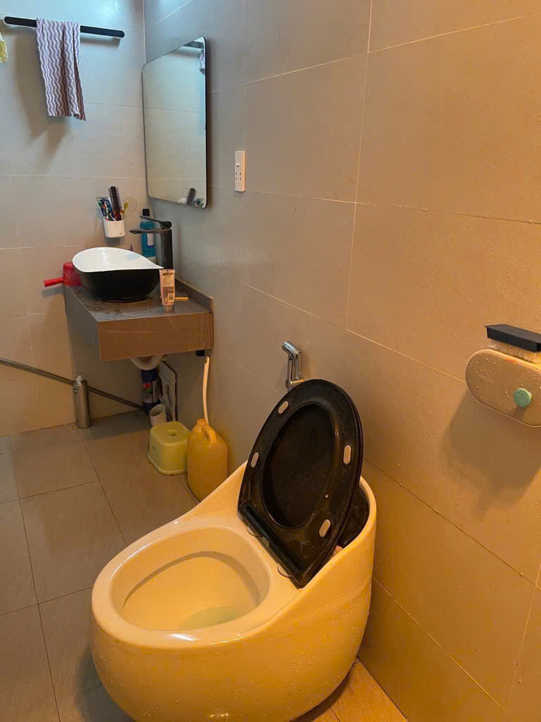 BÁN BIỆT THỰ TÂN TÂY ĐÔ TRẠM TRÔI HOÀI ĐƯC,PHÂN LÔ,Ô TÔ TRÁNH GIÁ 11 TỶ - Ảnh chính