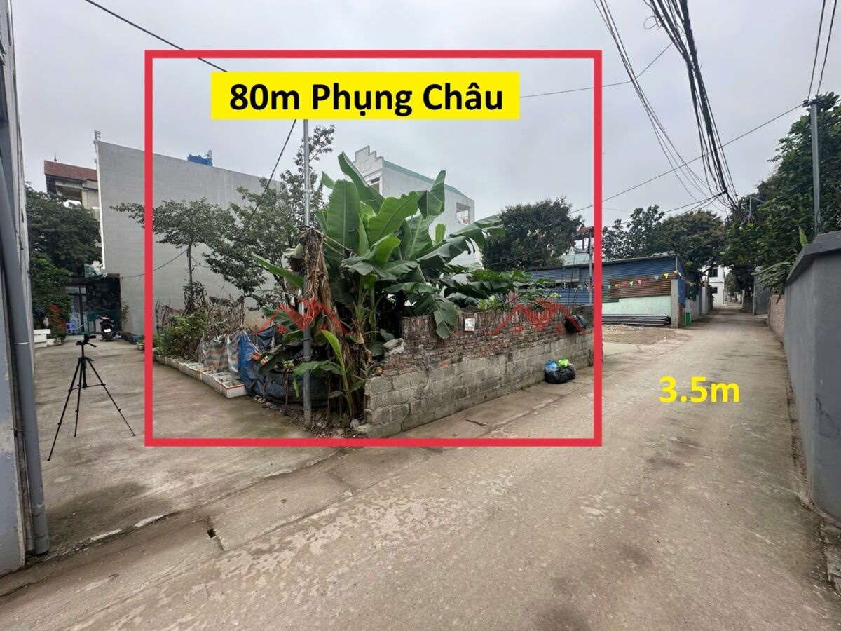 CHÍNH CHỦ BÁN LÔ ĐẤT 80M TẠI PHỤNG CHÂU-CHƯƠNG MỸ-HÀ NỘI - Ảnh chính