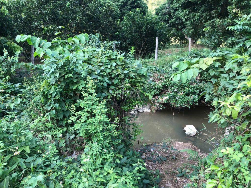 Cho thuê đất tại Yên Thuỷ, Hoà Bình-2000m2-5tr/thg - Ảnh 4