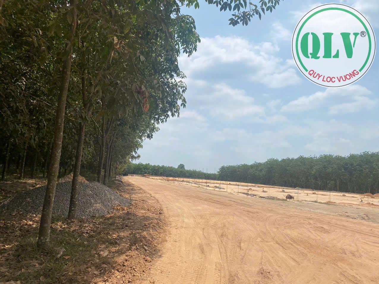 Cho thuê nhà xưởng 7.678 m2 Long Nguyên, Bàu Bàng, Bình Dương - Ảnh 4