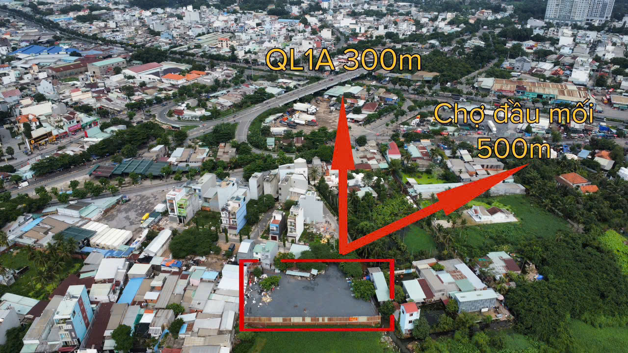 Hạ 10 tỷ còn 40 tỷ bán nhanh gần 1500 m2 đất hẻm 829 Tỉnh Lộ 43 Tam Bình - Ảnh 3
