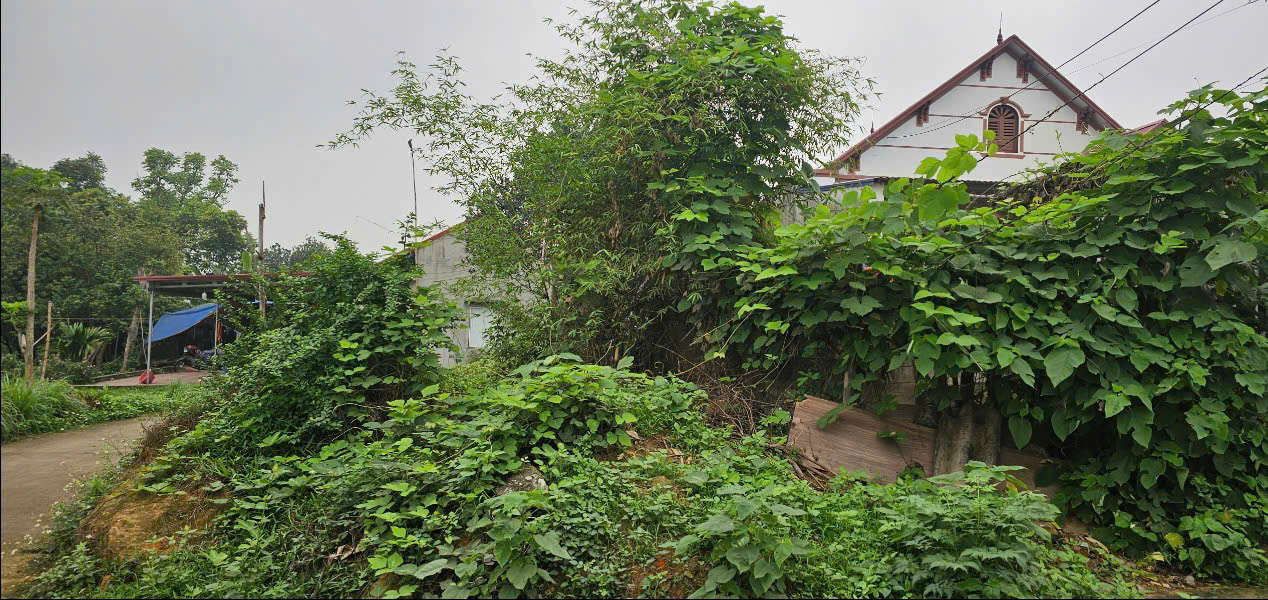 Chính Chủ Bán Lô Đất Hồng Tiền Cách Mặt Đường 261 100M Phường Hồng Tiến, Phổ Yên, Thái Nguyên - Ảnh 2