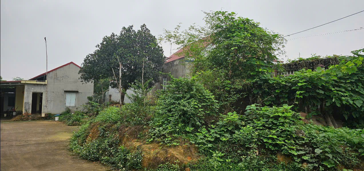 Chính Chủ Bán Lô Đất Hồng Tiền Cách Mặt Đường 261 100M Phường Hồng Tiến, Phổ Yên, Thái Nguyên - Ảnh 1