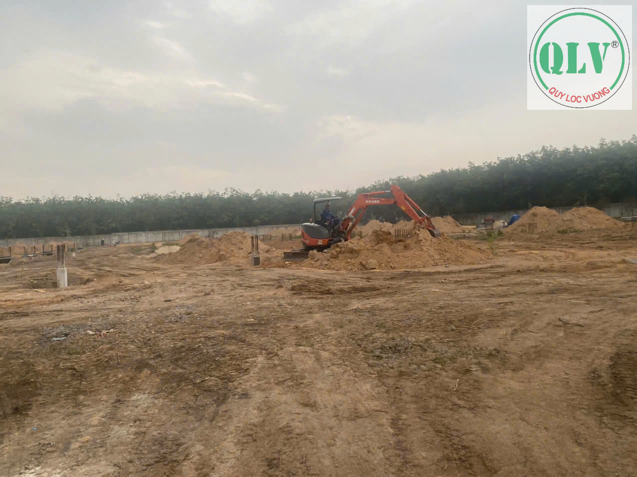 🚨 Cho thuê nhà xưởng mới đang xây DT 16.373m2 ở Lai Hưng Bàu Bàng, BD - Ảnh 3