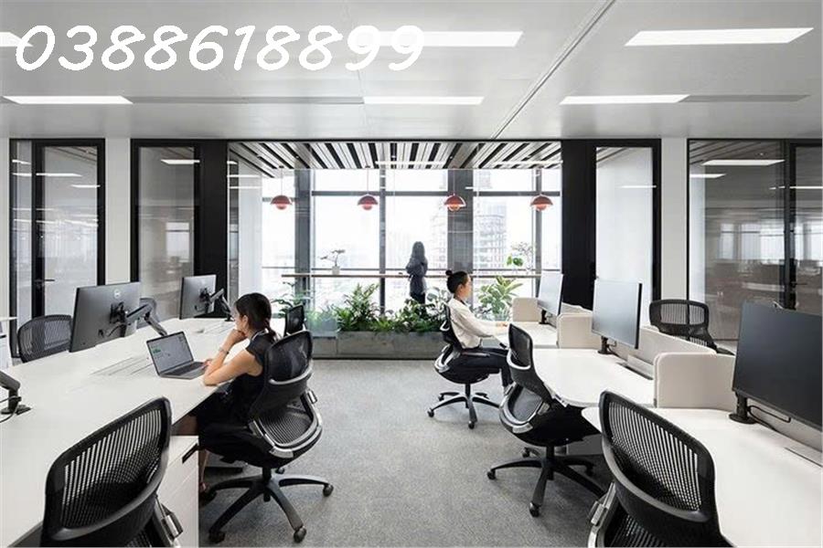 TOÀ NHÀ MẶT PHỐ XÃ ĐÀN – DÒNG TIỀN 3.5 TỶ/NĂM – 150M² – MẶT TIỀN 12M – VỊ TRÍ ĐẮC ĐỊA – 144 TỶ - Ảnh 2