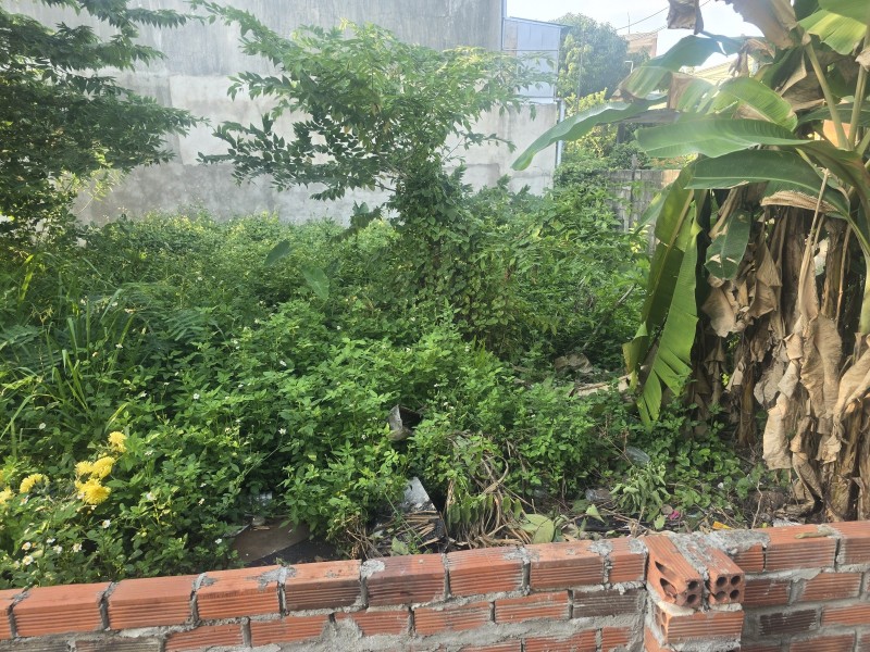 Bán đất Dĩ An,đất đẹp giá rẻ,đường 2 ô tô,anh chị em đầu tư vào đây nhé,chỉ 1,7tỷ - Ảnh 2