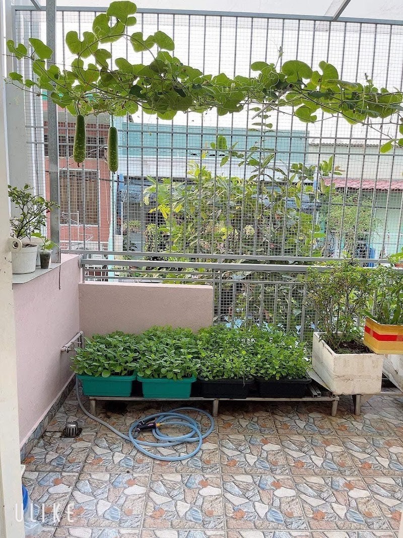 Bán nhà DT 41m2, Hẻm xe hơi thông 5m, Đường Vườn Lài, Quận Tân Phú - Ảnh 4