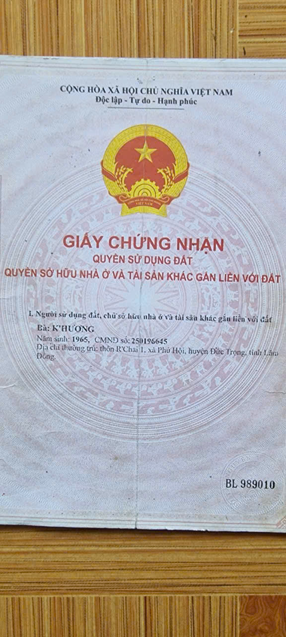ĐẤT ĐẸP - GIÁ TỐT - Vị Trí Đắc Địa Tại Xã Phú Hội, Huyện Đức Trọng, Lâm Đồng - Ảnh 4
