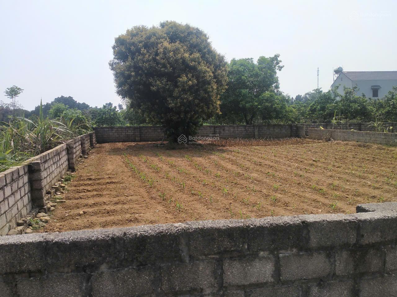 Bán đất 330m2. Giá 2,1 tỷ, mặt tiền 15m, Ngõ hơn 6m, ô tô tránh - Ảnh chính