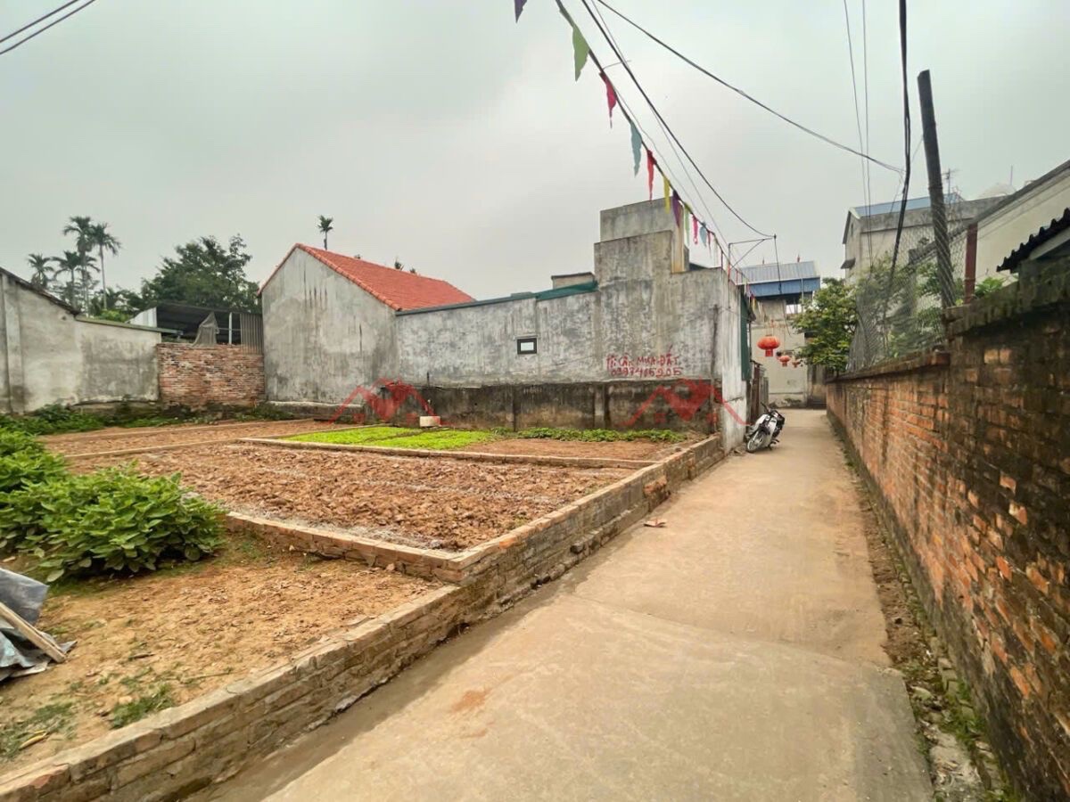 CHÍNH CHỦ BÁN LÔ ĐẤT 4OM TẠI THỤY HƯƠNG-CHƯƠNG MỸ-HÀ NỘI - Ảnh 1