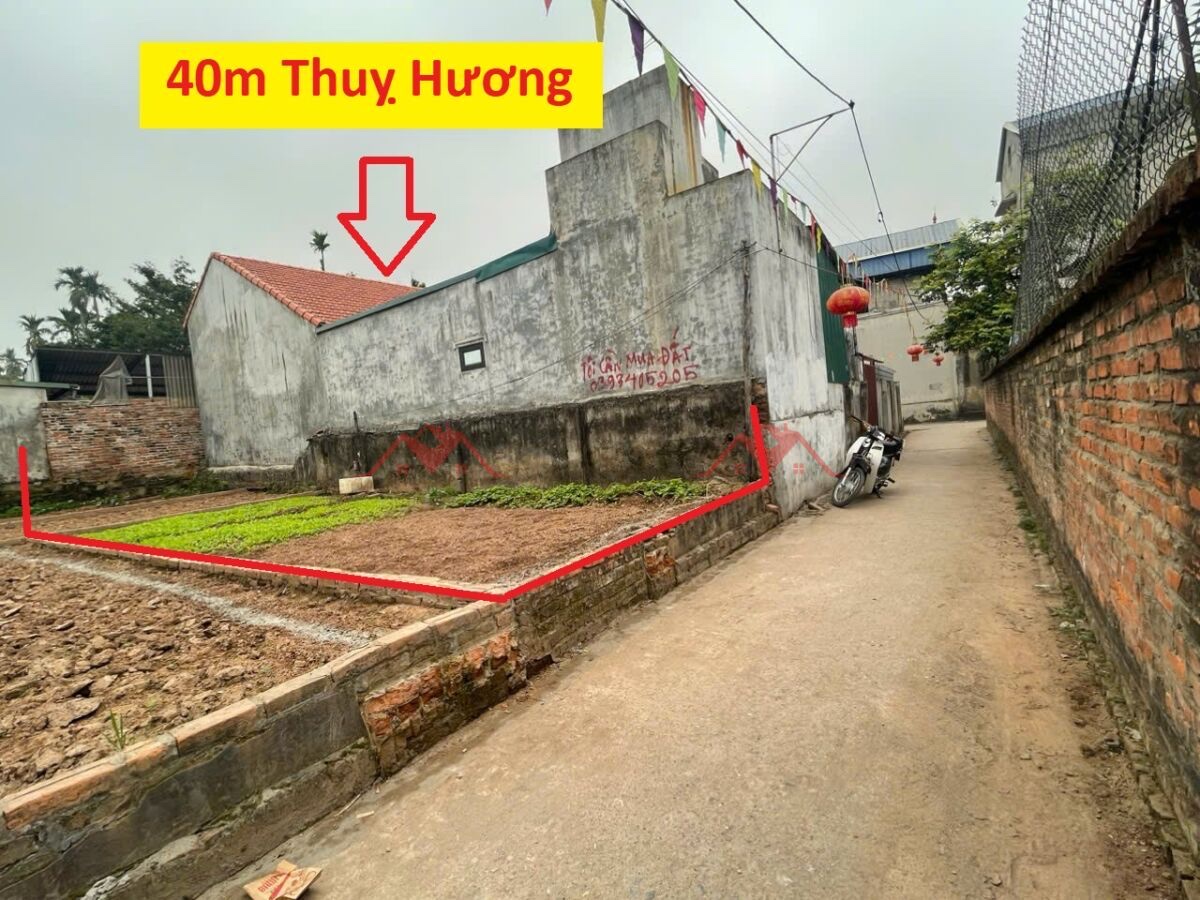 CHÍNH CHỦ BÁN LÔ ĐẤT 4OM TẠI THỤY HƯƠNG-CHƯƠNG MỸ-HÀ NỘI - Ảnh chính