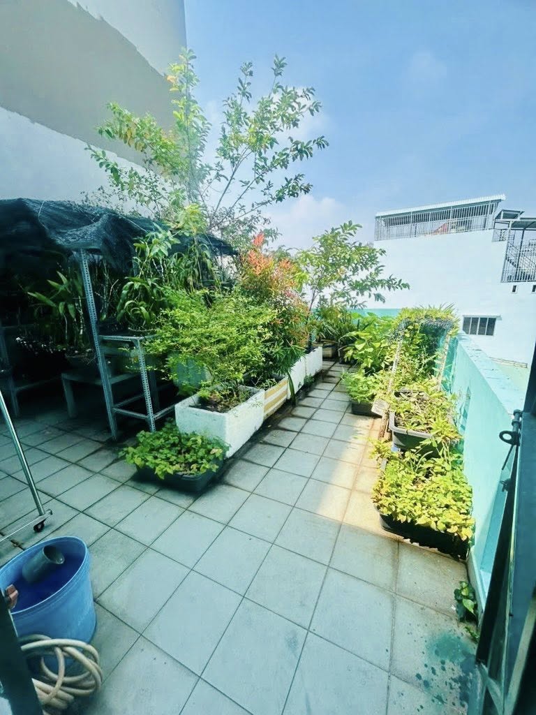 GIAP TÂN BÌNH - NGAY ÂU CƠ - SÁT MẶT TIỀN - 66M N5.2*13 - 3 TẦNG NHỈNH 6 ĐỒNG - Ảnh 3