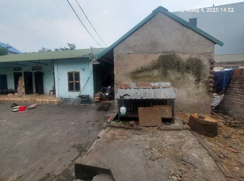 Chủ cần bán 178m2, mt9.7, ô tô, 8.5 tỷ, Bắc Hồng, Đông Anh - Ảnh 1