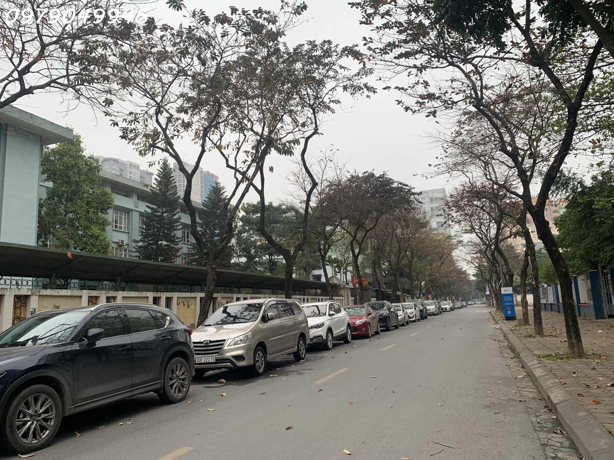 CƠ HỘI VÀNG–TÒA NHÀ 9 TẦNG THANG MÁY MẶT PHỐ HỒ TÙNG MẬU–VỈA HÈ RỘNG–DÒNG SẢN PHẨM CỰC HIẾM–CHỈ 46 - Ảnh chính