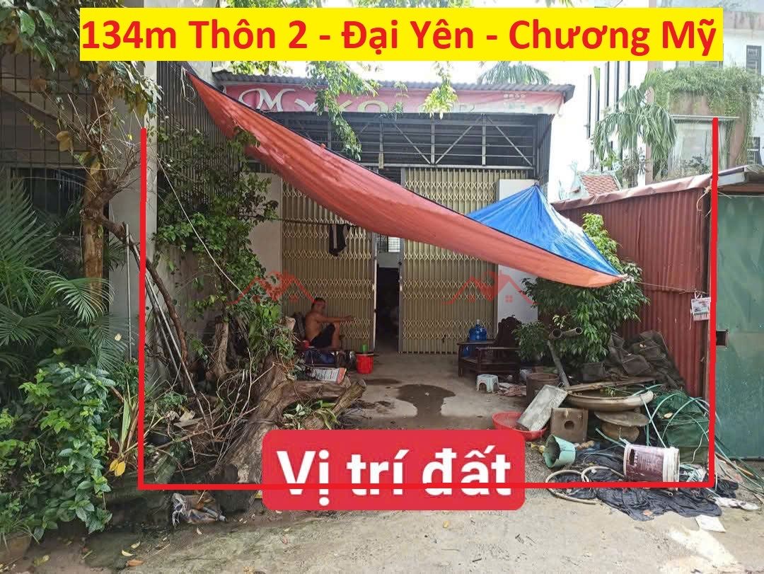 CHÍNH CHỦ BÁN LÔ ĐẤT 134M TẠI ĐẠI YÊN-CHƯƠNG MỸ-HÀ NỘI - Ảnh chính