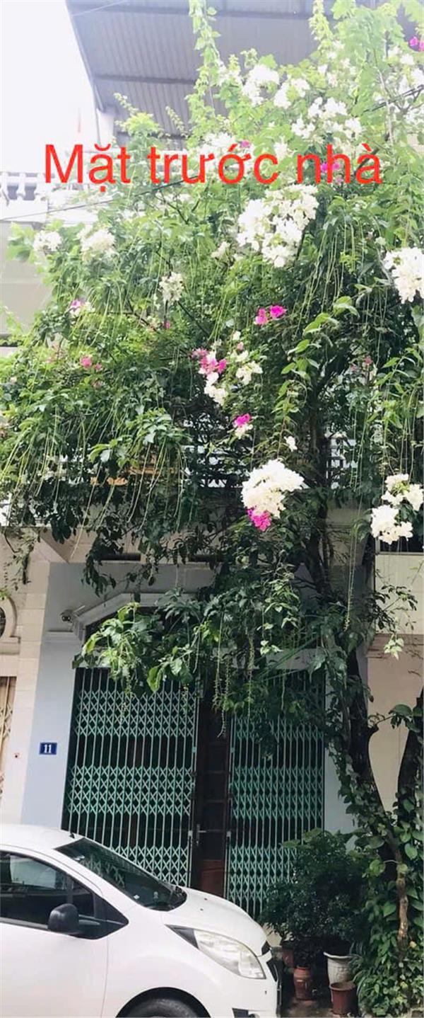 Chính Chủ Cần Bán Căn Nhà Đẹp - Vị Trí Tốt Tại SN 11, tổ 16, Phường Hoàng Văn Thụ, TP Thái Nguyên - Ảnh 2