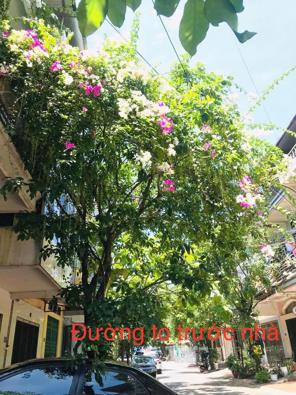 Chính Chủ Cần Bán Căn Nhà Đẹp - Vị Trí Tốt Tại SN 11, tổ 16, Phường Hoàng Văn Thụ, TP Thái Nguyên - Ảnh 4