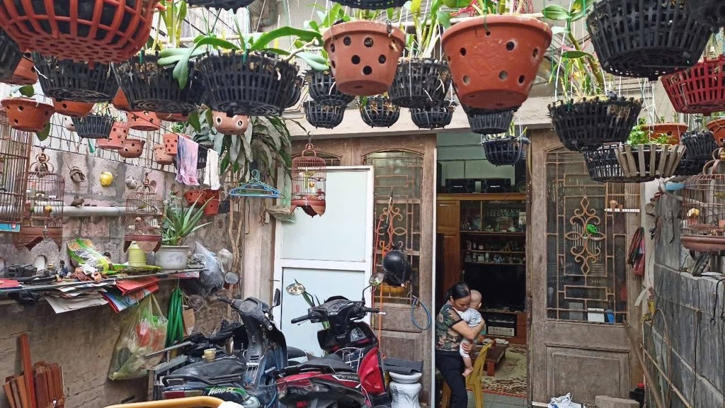 THANH XUÂN SIÊU HIẾM,GẦN Ô TÔ DÙNG ĐỖ, GẦN HỒ ĐIỀU HÒA, TIỀM NĂNG TĂNG TRƯỞNG CAO, XÂY TOÀ CHDV HẾT - Ảnh 2
