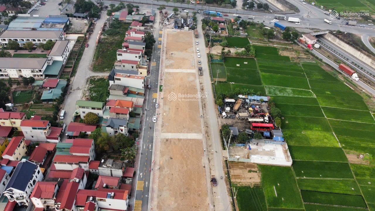 Bán đất đấu giá Thạch Lỗi, Thanh Xuân, Sóc Sơn. Cơ hội đầu tư sinh lời cao - Ảnh 3