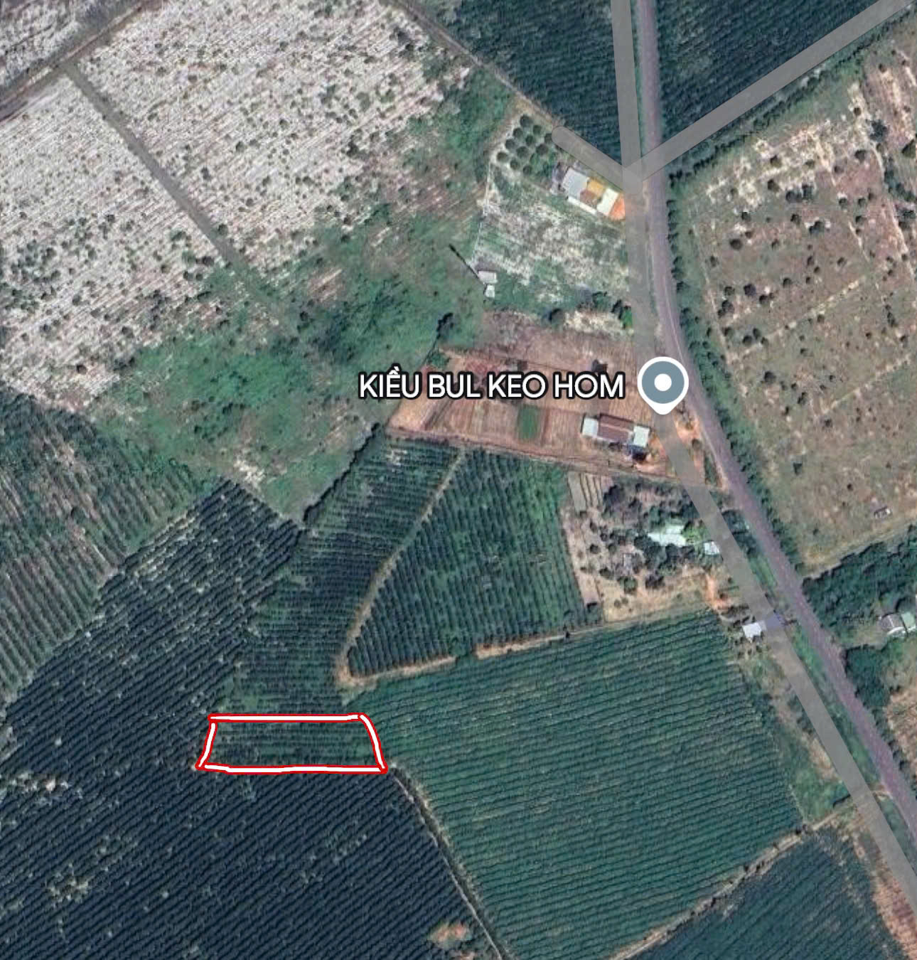 BÁN THÔN SUỐI TỨ, HÀM TÂN, BÌNH THUẬN - 1236M2 - GIÁ HỜ 1.2 TỶ - SỔ ĐỎ CHÍNH CHỦ - Ảnh chính