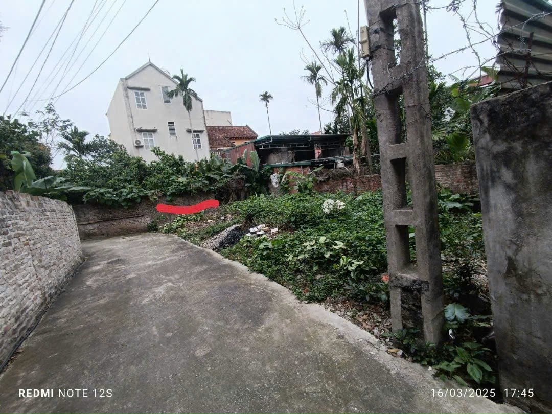 Thôn 1 vạn phúc thanh tri Hà Nội - Ảnh chính